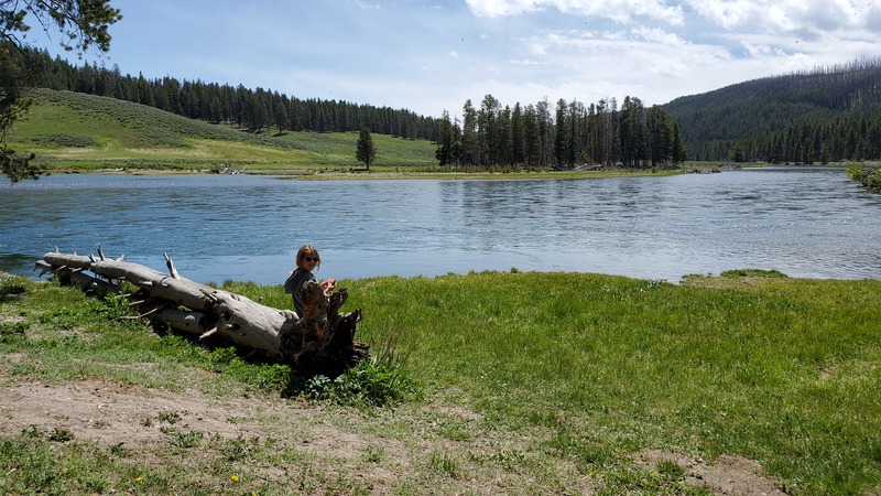 Yellowstone