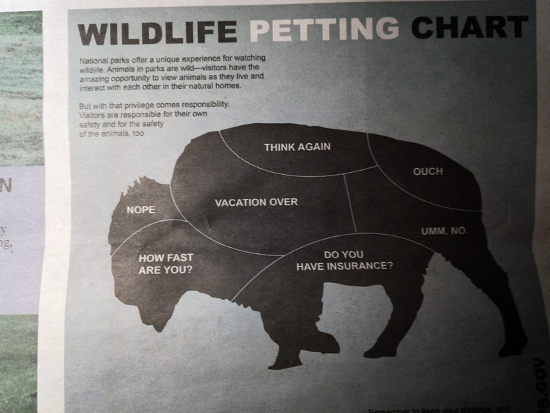 Wildlife Petting Chart