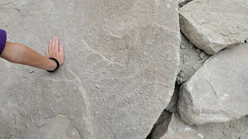 Fossil Discovery Trail