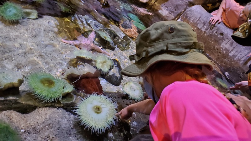 Salt Lake City Aquarium