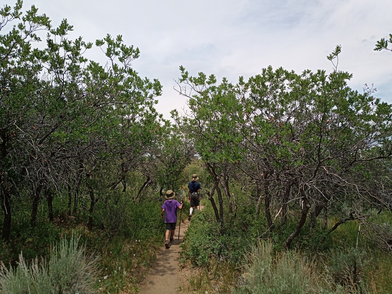 Uplands Trail