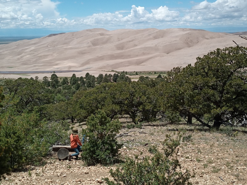 Overlook Sand Dunes