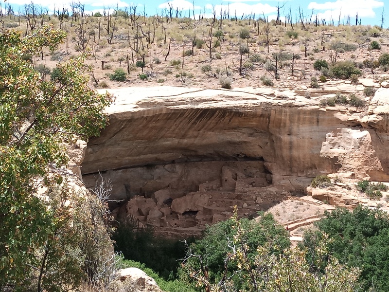 Mesa Verde