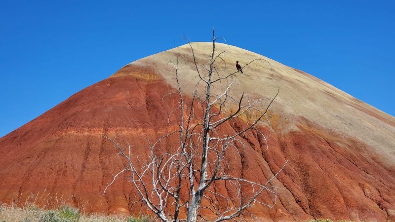 Painted Hills John Day Fossil Beds