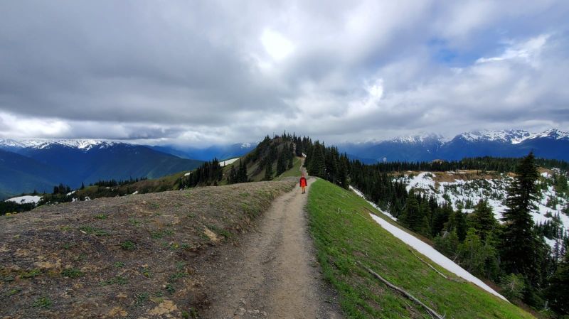 Olympic NP