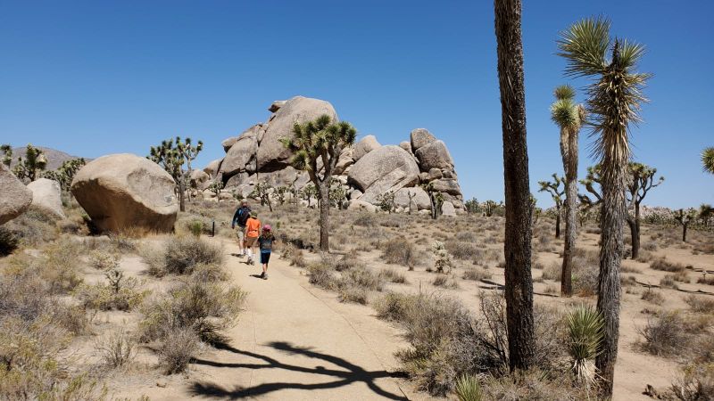 Joshua Tree national park