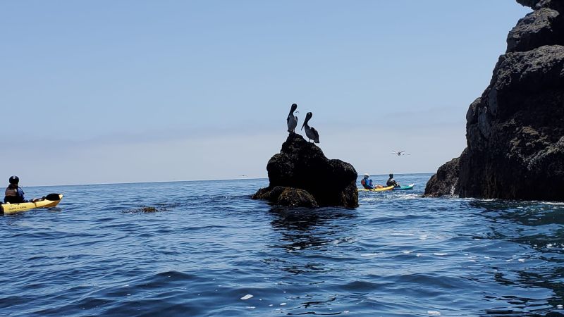 kayak Channel Islands National Park