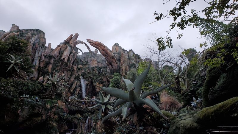 DisneyWorld pandora