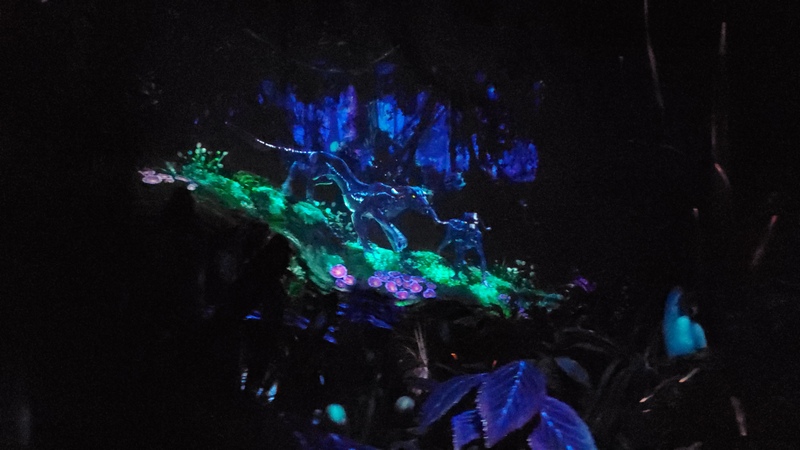 DisneyWorld pandora