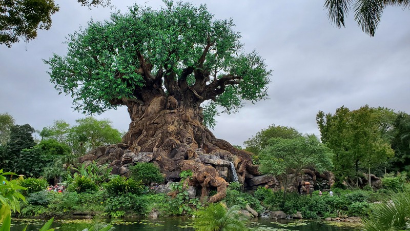 arbre DisneyWorld Asia
