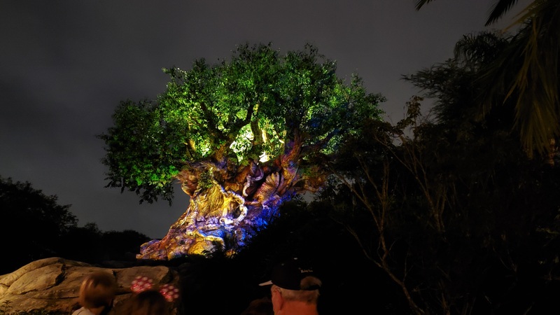 arbre DisneyWorld