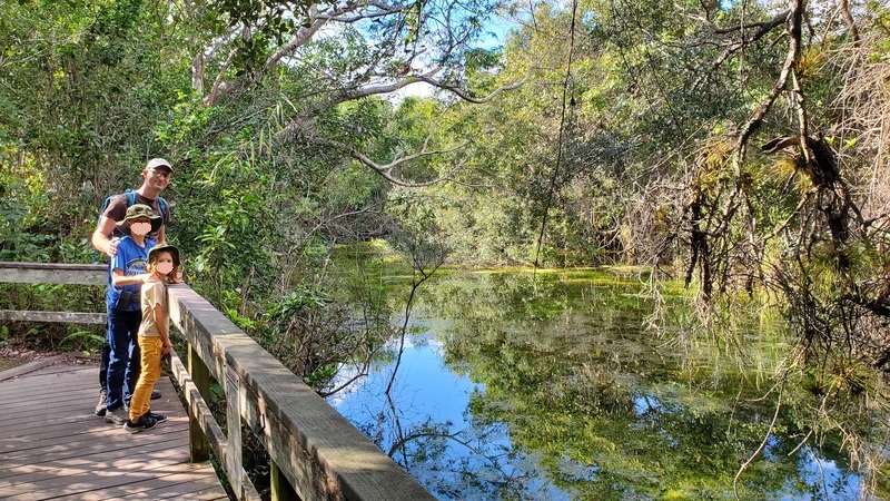 Everglades