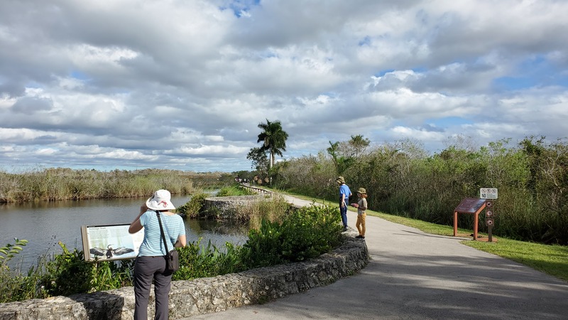 Everglades