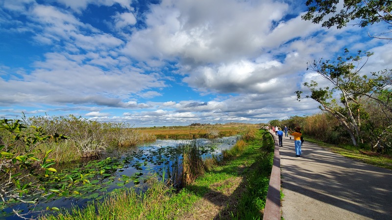 Everglades