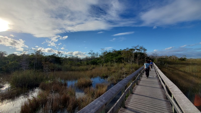 Everglades