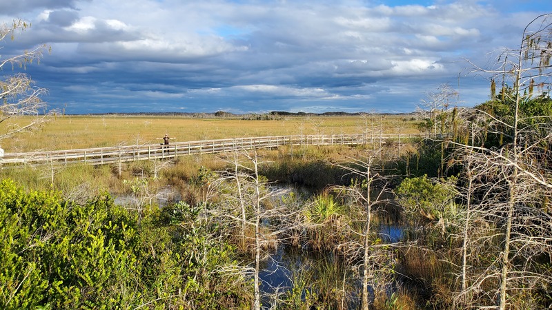 Everglades