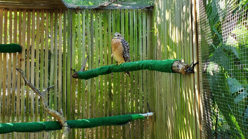 Crane Point Hammock