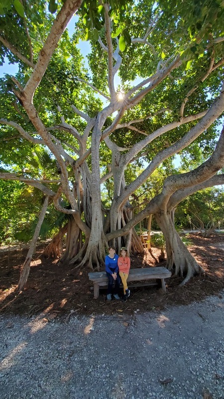 Crane Point Hammock