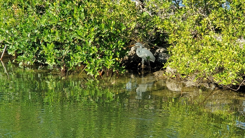 Biscayne National Park