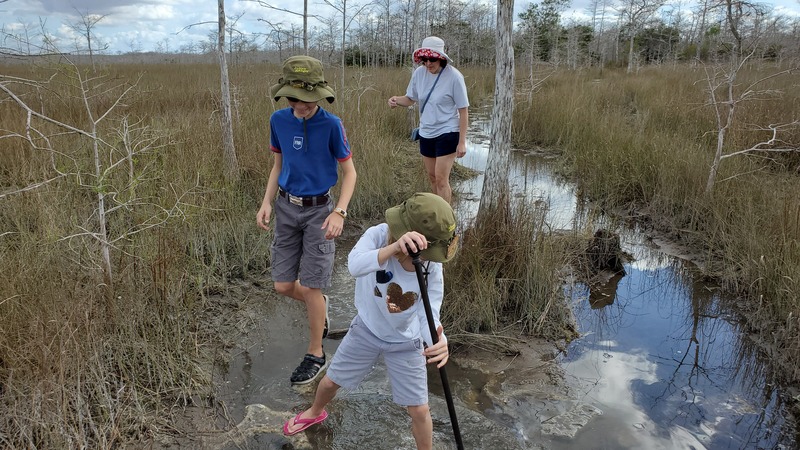 Gator Hook Trail