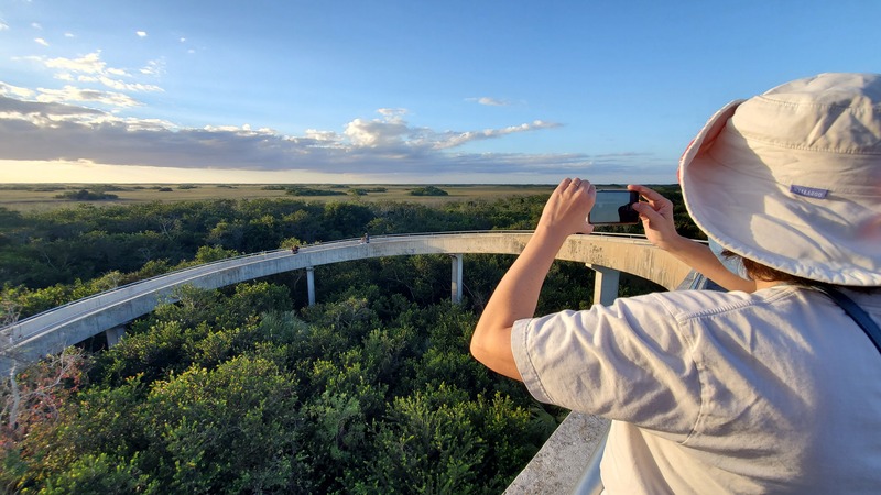 tour d'observation Everglades