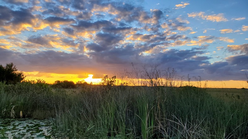 coucher de soleil Everglades
