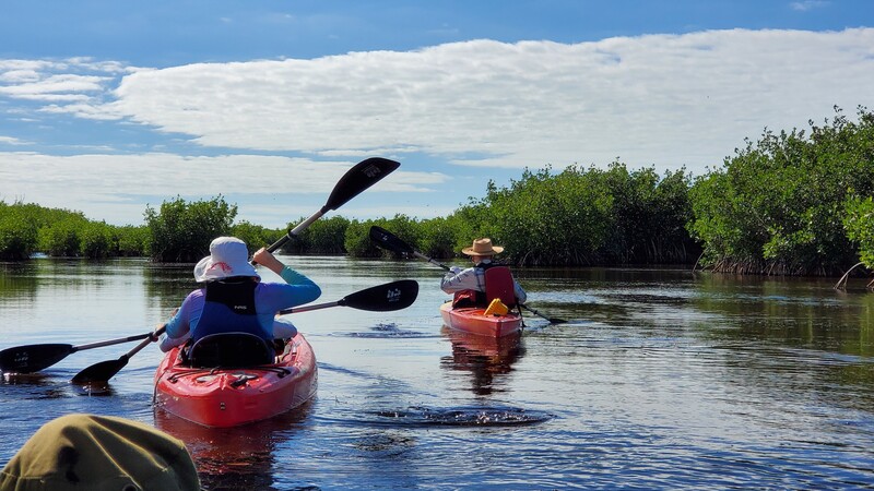 kayak Everglades