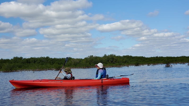 kayak Everglades