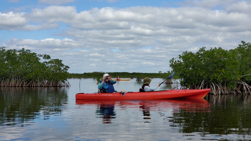 kayak Everglades