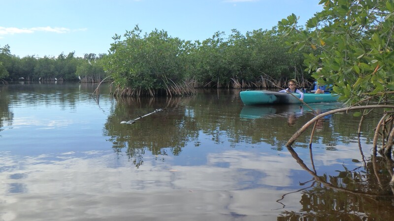 kayak Everglades