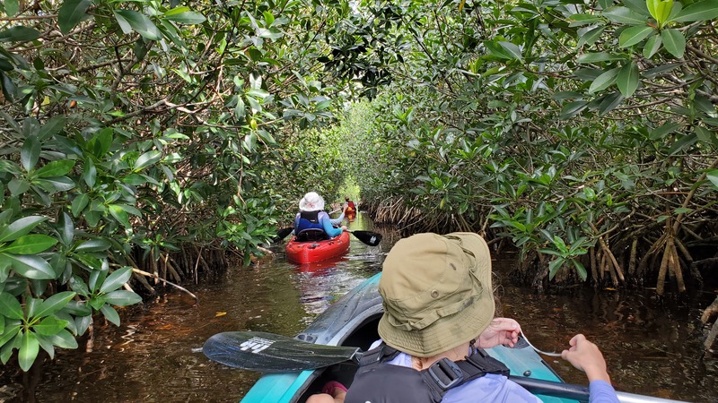 kayak Everglades