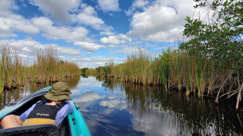 kayak Everglades