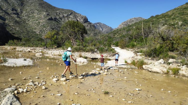 mckittrick canyon