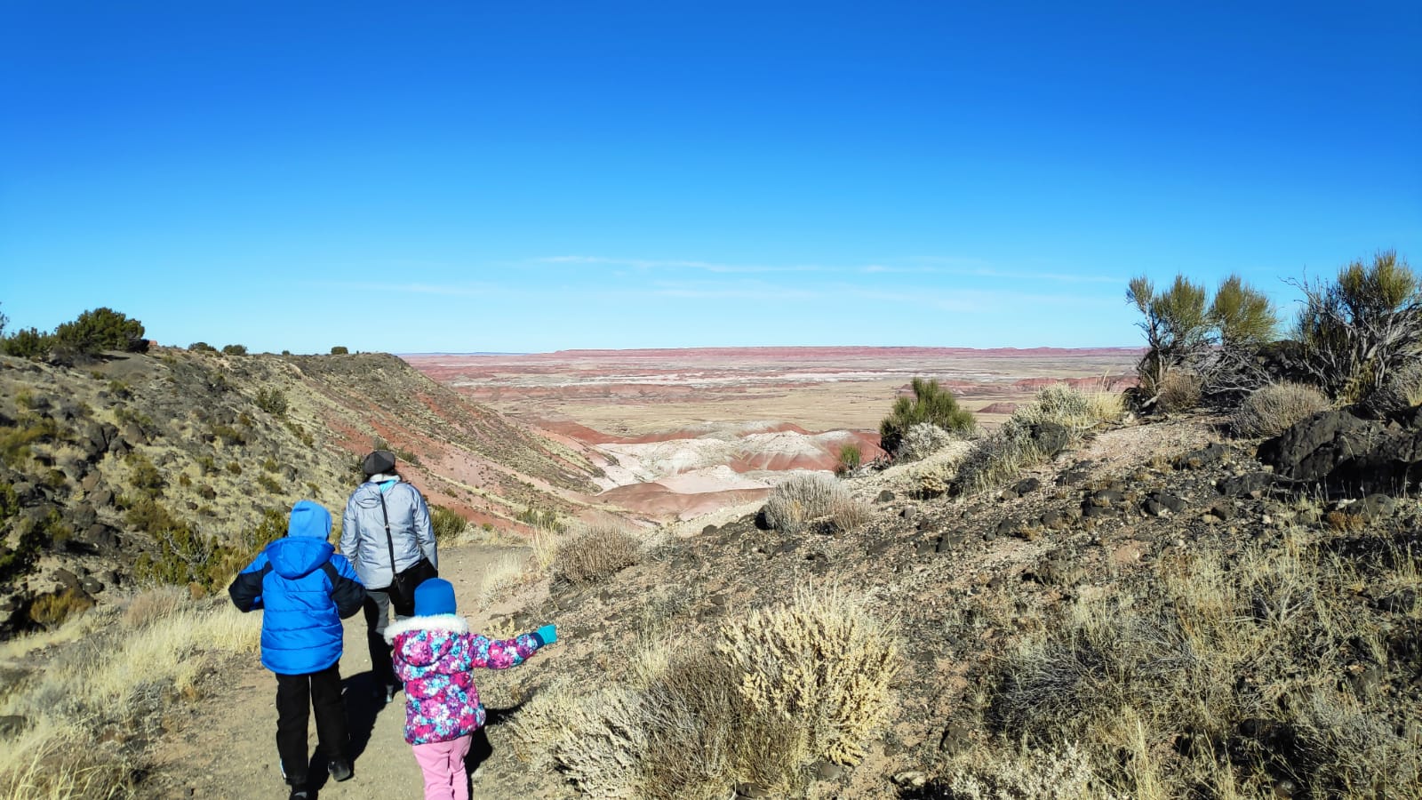 painted desert arizona