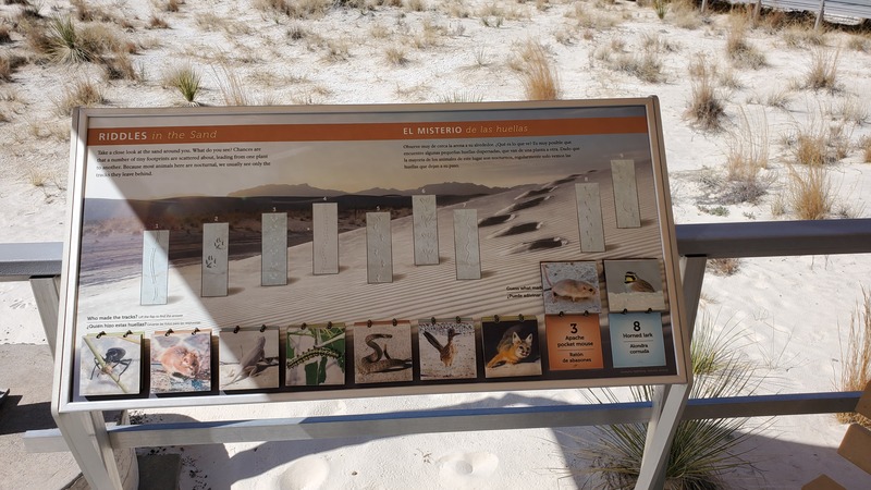 White Sands National Monument Interdune boardwalk trail