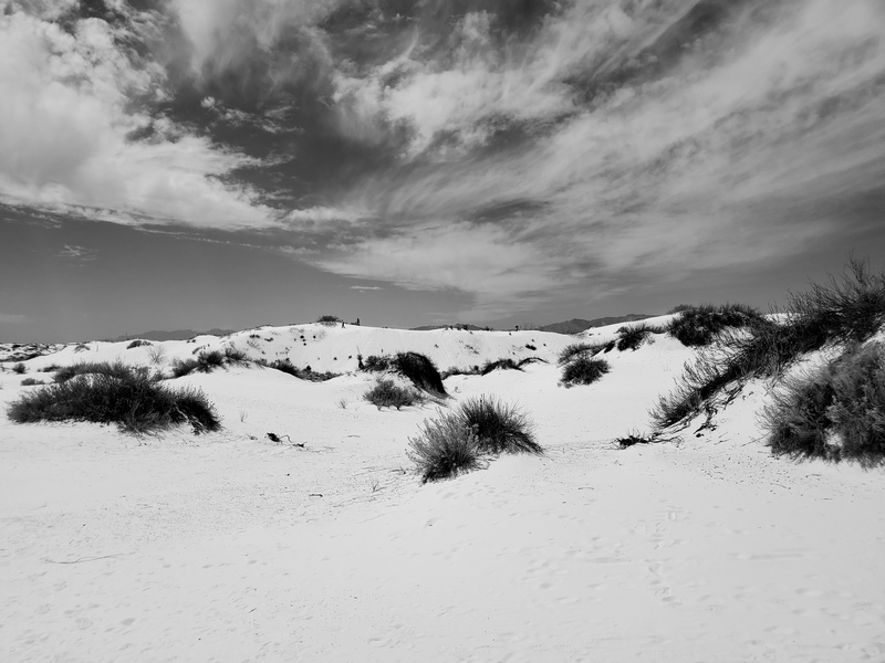 Big Dune Nature Trail