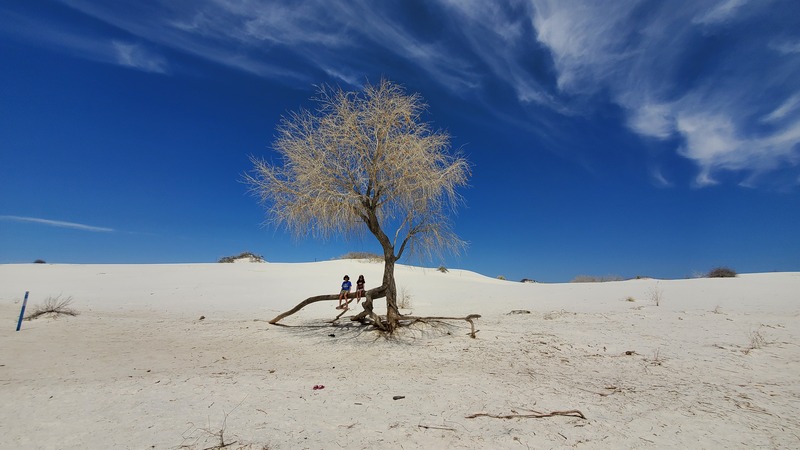 Big Dune Nature Trail