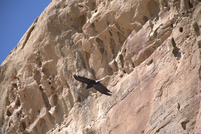 Chaco Culture National Historical Park