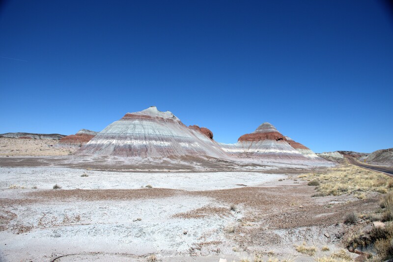 Blue Mesa Petrified Forest National Park