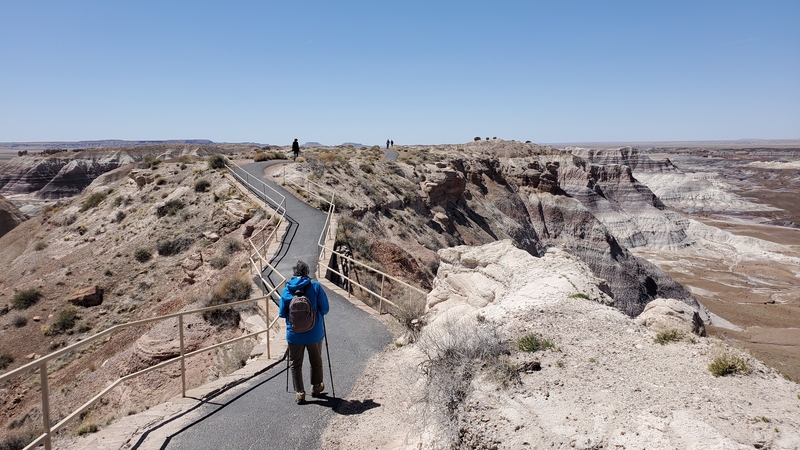 Blue Mesa Petrified Forest National Park