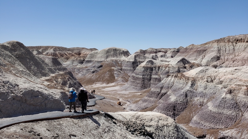 Blue Mesa Petrified Forest National Park