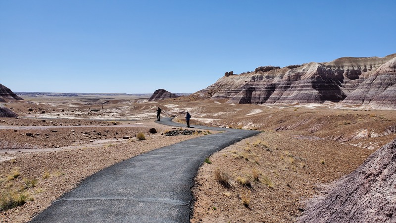 Blue Mesa Petrified Forest National Park