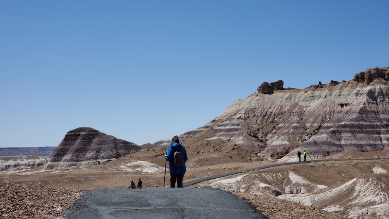 Blue Mesa Petrified Forest National Park