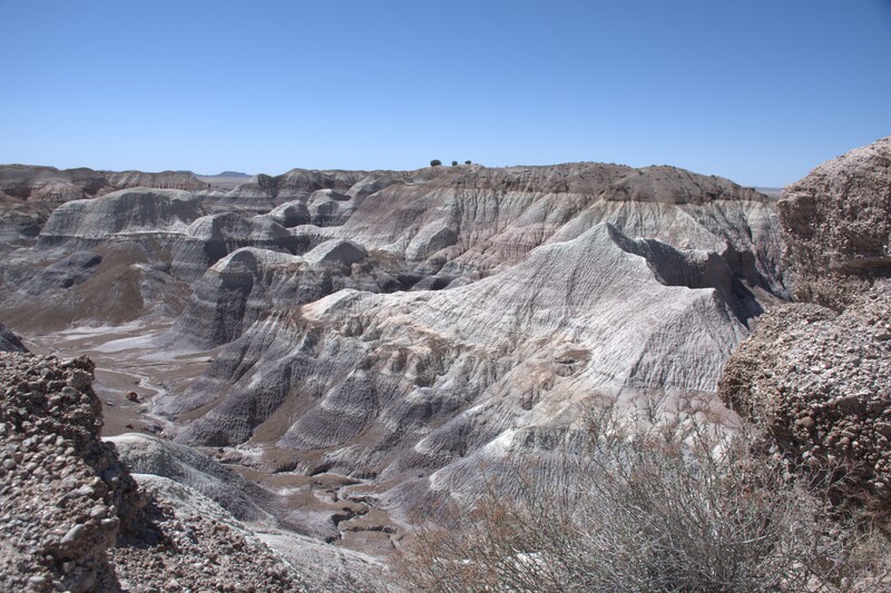 Blue Mesa Petrified Forest National Park