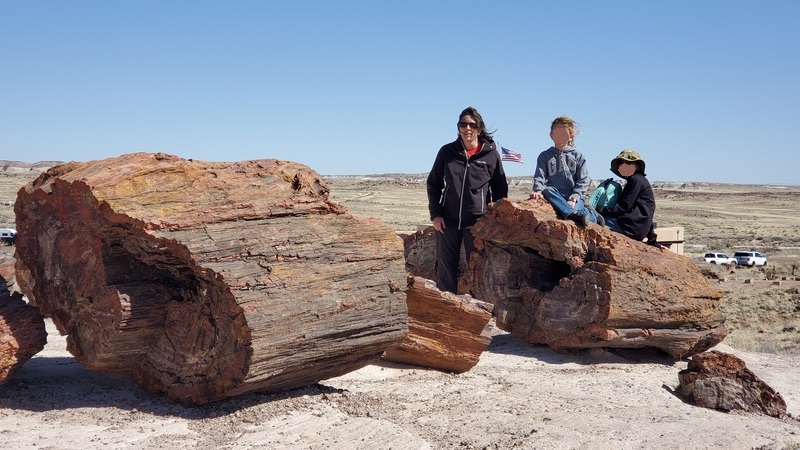 Petrified Forest National Park