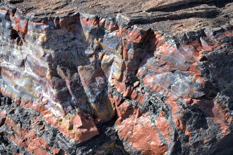 Petrified Forest National Park