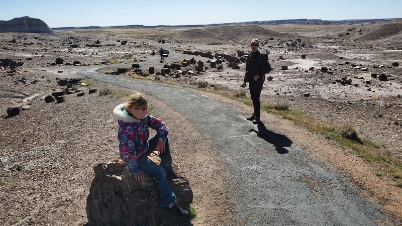 Petrified Forest National Park