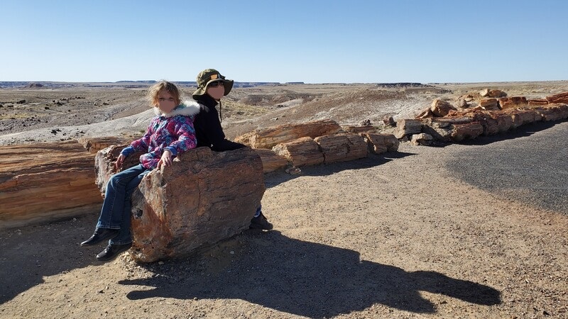 Petrified Forest National Park