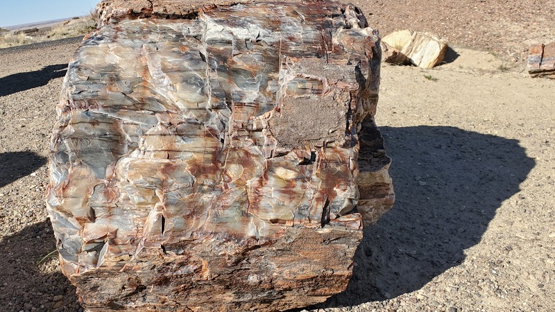 Petrified Forest National Park