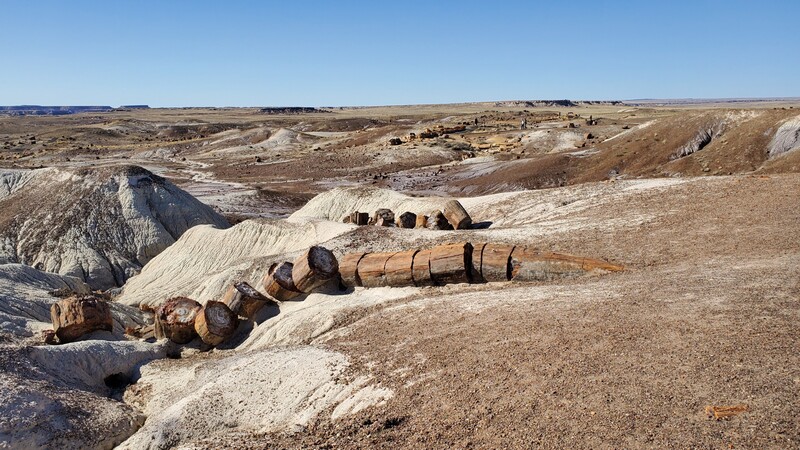 Petrified Forest National Park